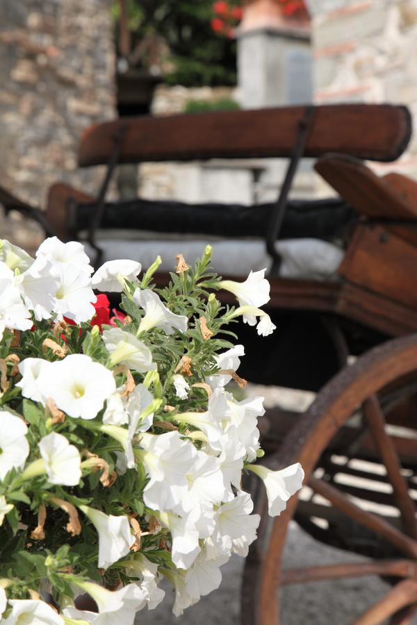 Agriturismo Il Calesse Quarrata Kültér fotó