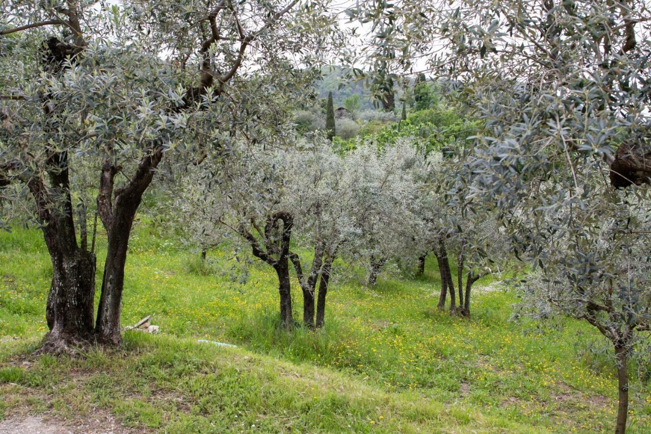Agriturismo Il Calesse Quarrata Kültér fotó